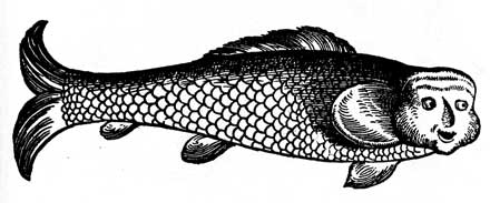 The Manatee