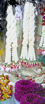 garlands2sm